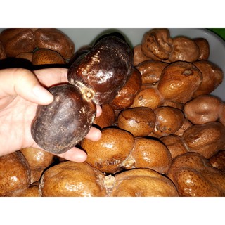 500gr Buah Dzuriat kembar Madinah dan Mesir / Buah zuriat