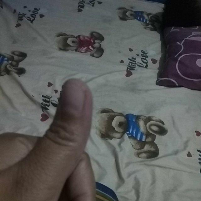 Centolan Kaitan Tali Gorden