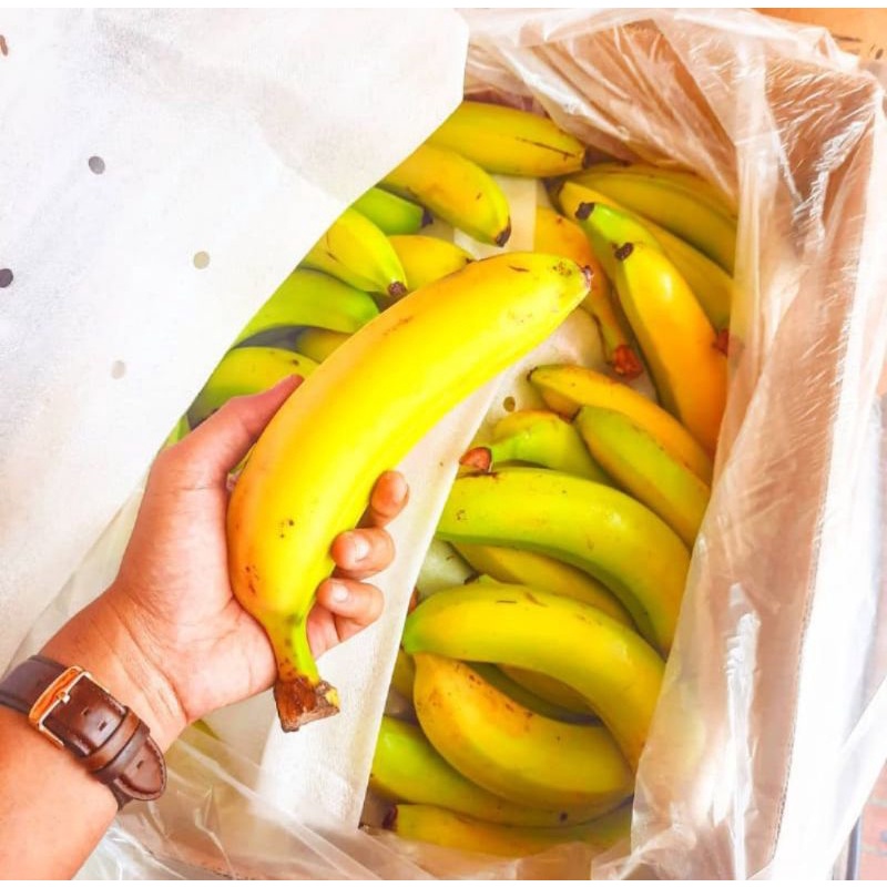 

Pisang Sunpride 1 dus Grosir Buah Box 13 kilo