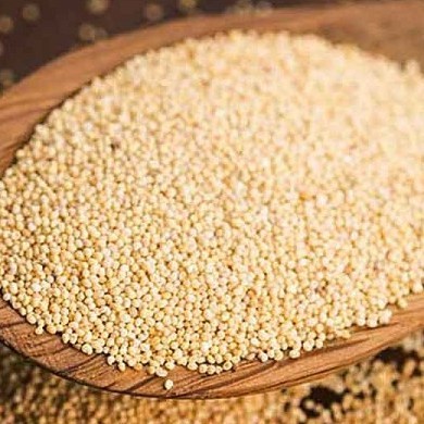 

New KASKAS BIJI KASKAS BIJI POPPY POPPY SEEDS