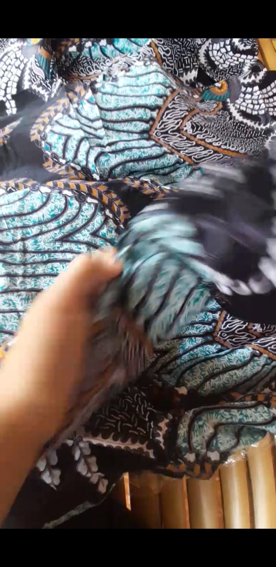 Batik Kalongan | Seragam Batik Kantor Motif Madu Biru