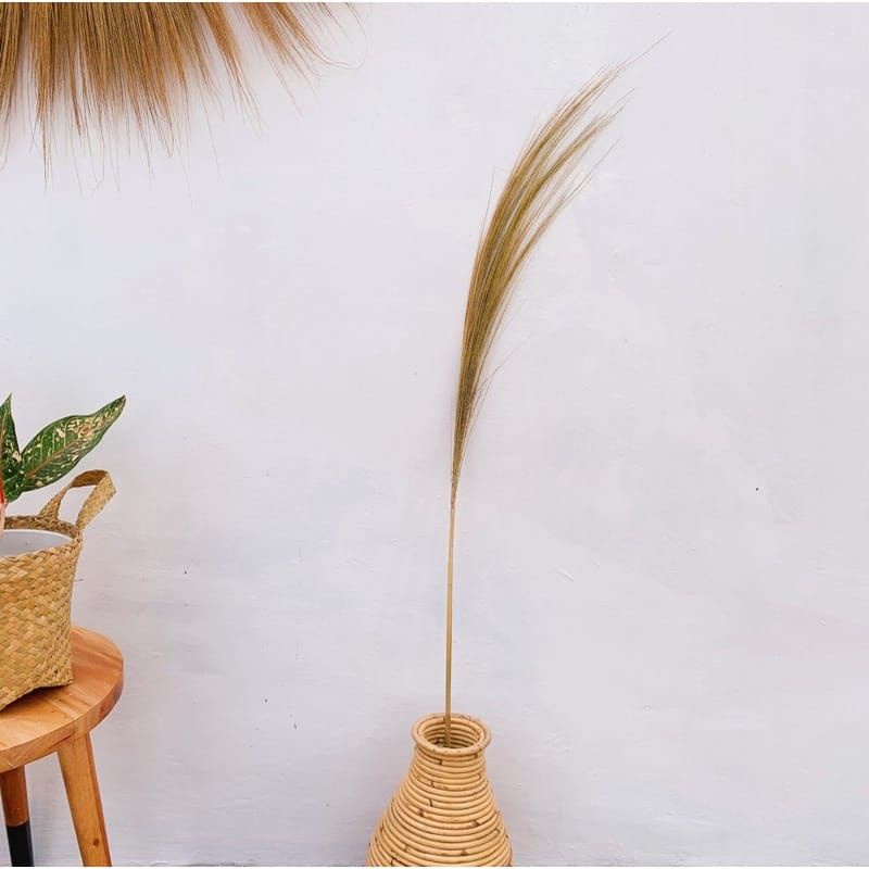 Bunga Kering Rayung / Dekorasi Rayung Stick / Rayung Kering / Rayung Natural