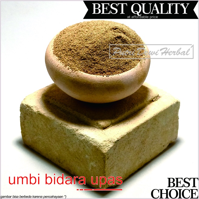 

Umbi Bidara Upas Bubuk 250 Gram - Serbuk Umbi Widara Upas | ( Merremia mammosa powder )