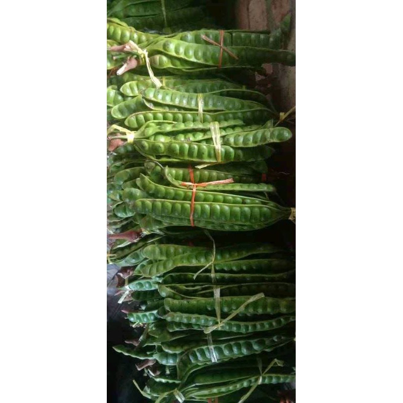 

Pete tua super sortiran (10papan 80rb)