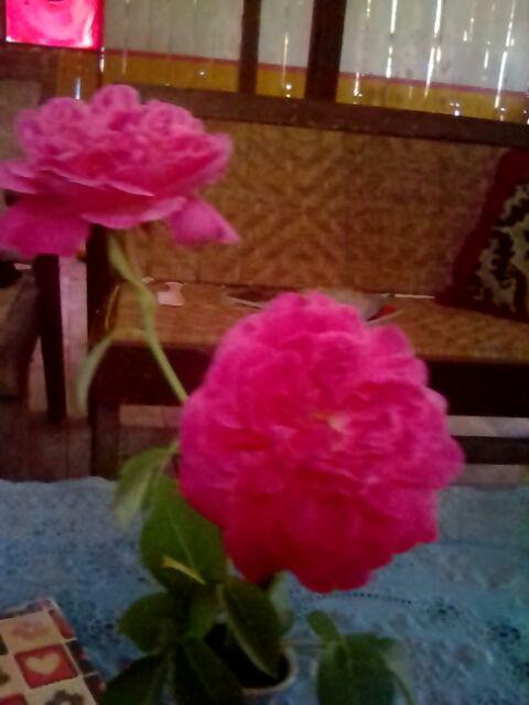 Lumbung Batik #  Couple Syari Lonceng Gradasi // Couple 2598