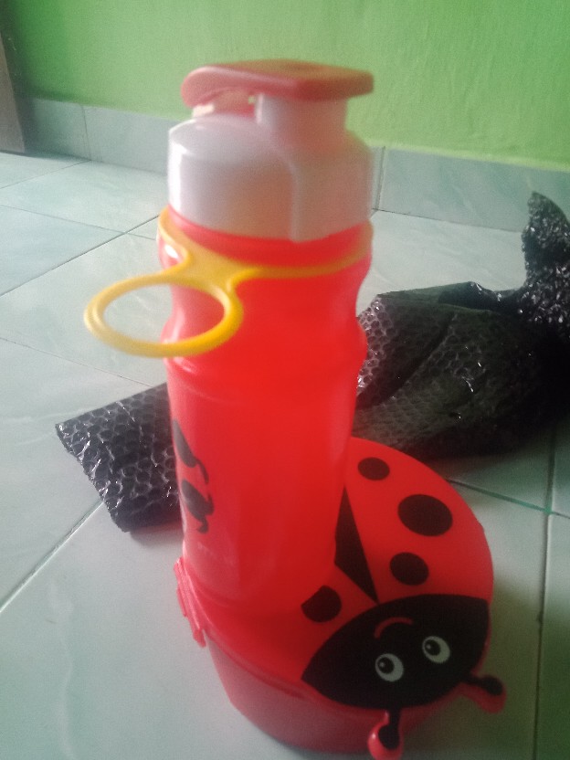 Kotak Bekal Bug & Bee