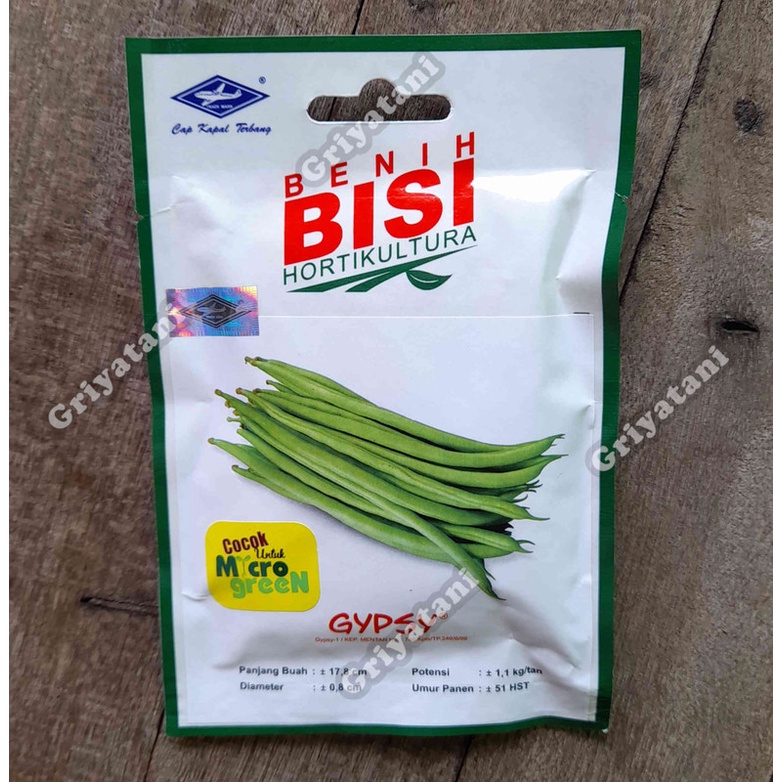 Benih Buncis Gypsy 150 butir