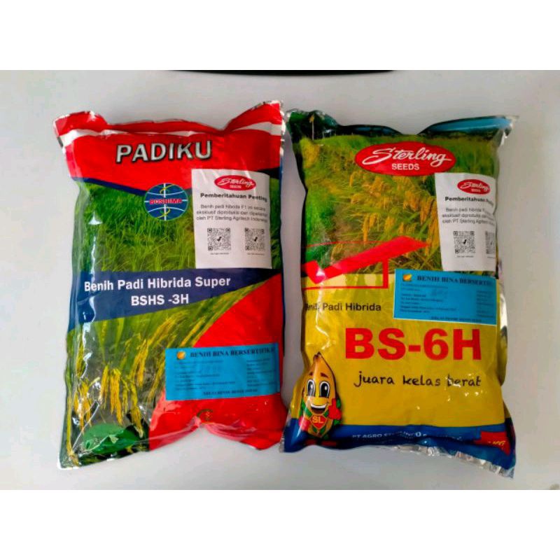 BENIH PADI HIBRIDA BSHS-6H