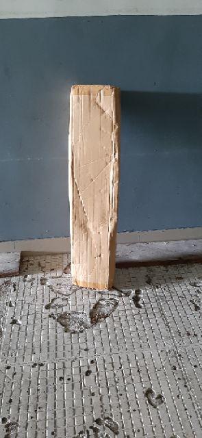 Tanaman Belimbing Madu / Dewi (buy 1 Get 1)