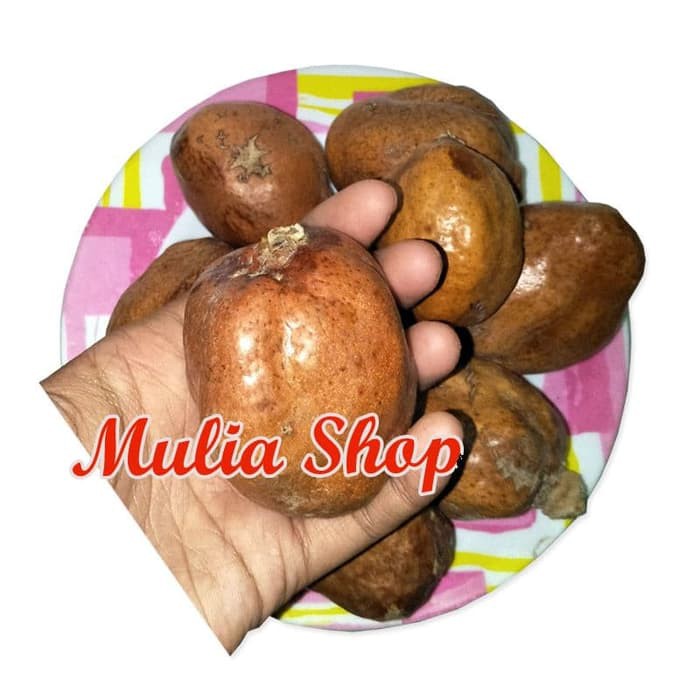 

[1 Kilogram] Buah Zuriat Zuriyat Doum SINGLE / Buah Adam Hawa / Promil PROMO