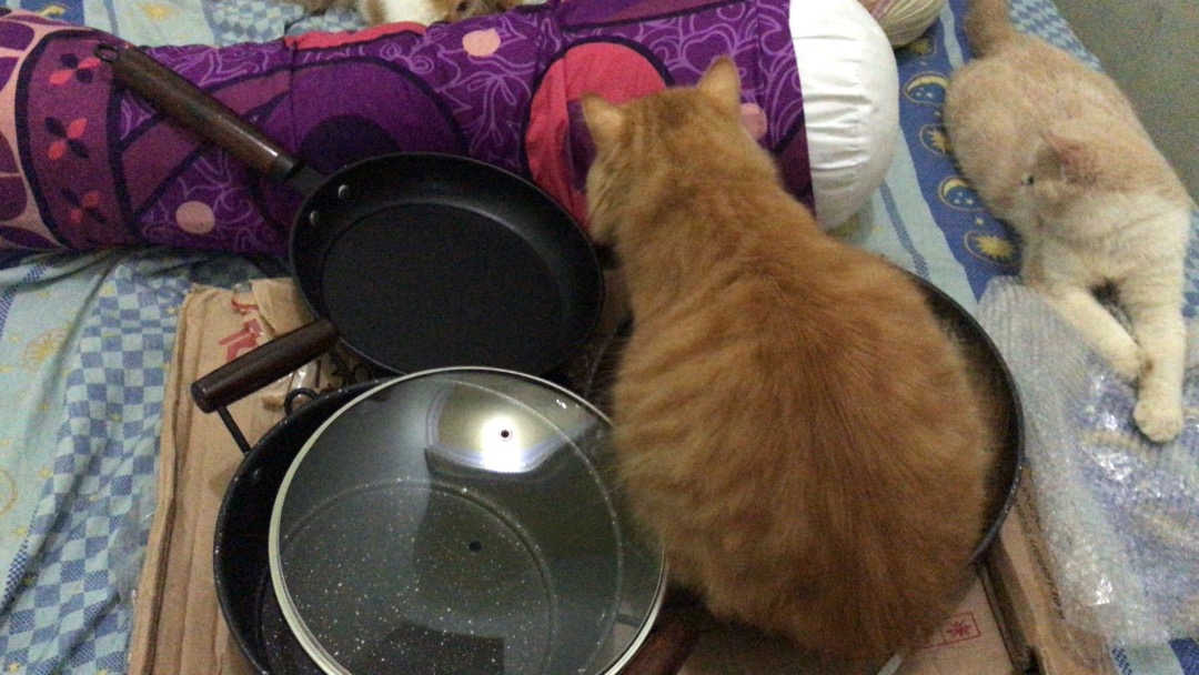 Gm Bear Panci Set Isi 3 Pcs Marble Coating 1300 - Blaze Wajan Set