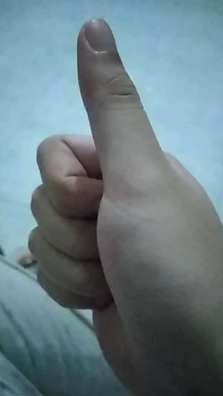 Proteina Daging Nabati Cincang (ls)