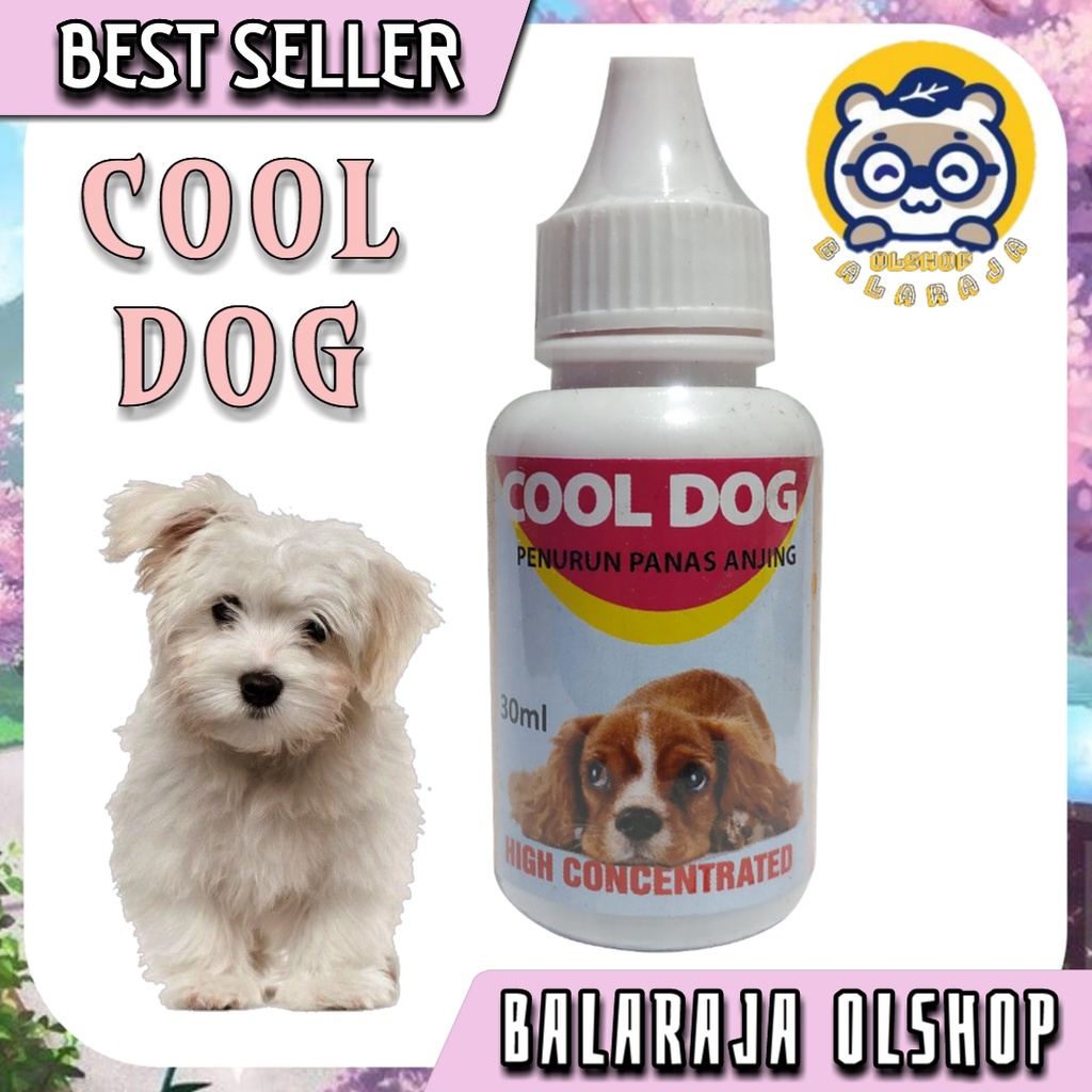 Cool Dog High Contcentrated Obat Penurun Panas Demam Anjing