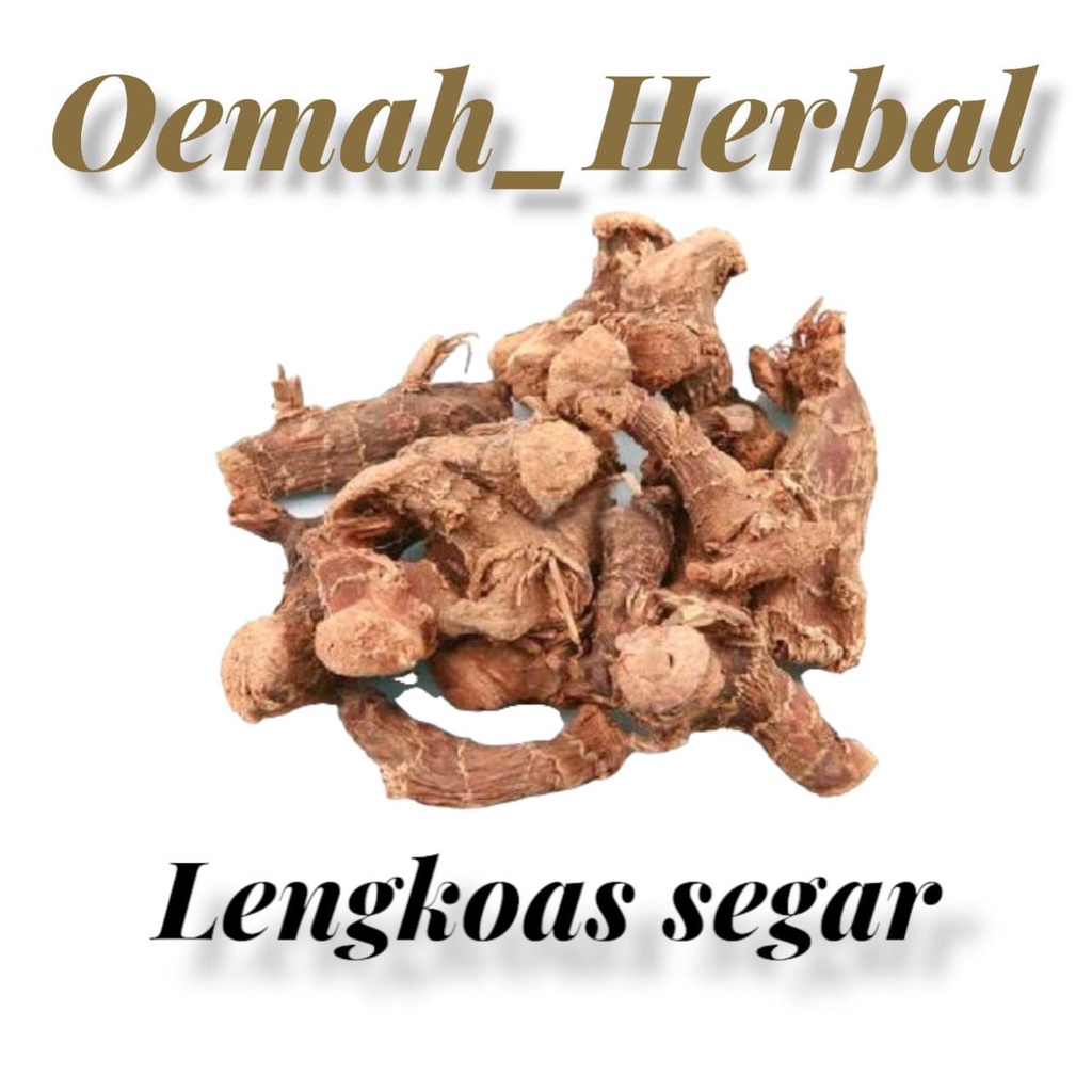 Lengkuas kering - laos kering 1kg