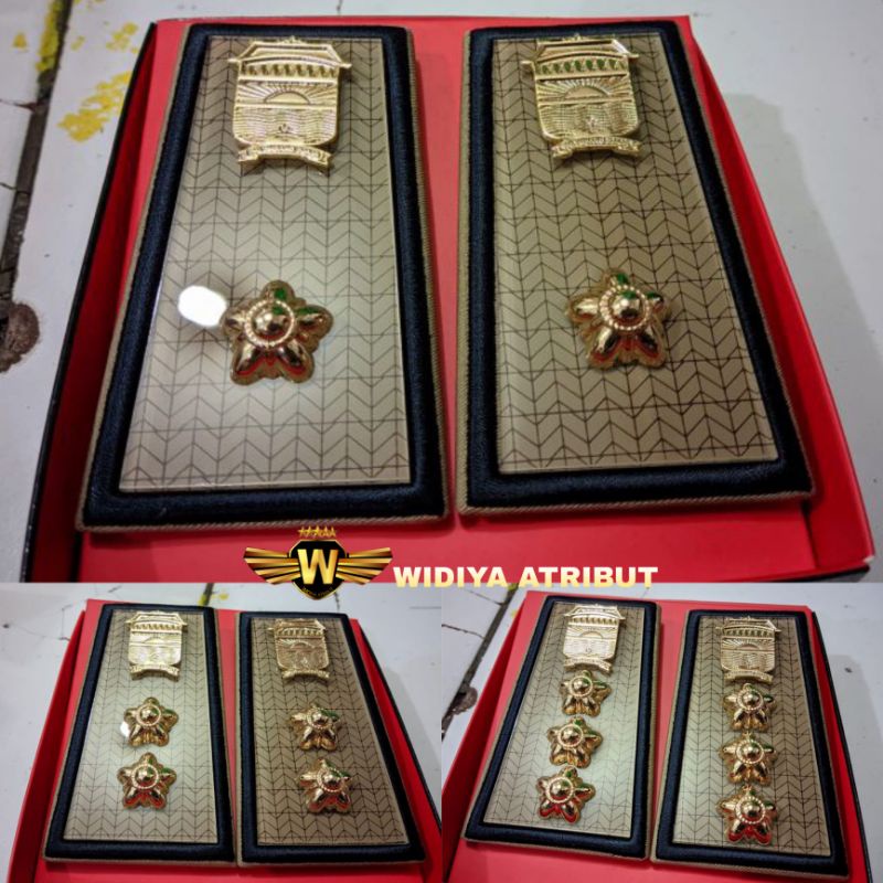 PANGKAT ASN PALEMBANG GOLONGAN 3D 4A 4B - PANGKAT PNS PALEMBANG 3D 4A 4B Exclusive Terbaru