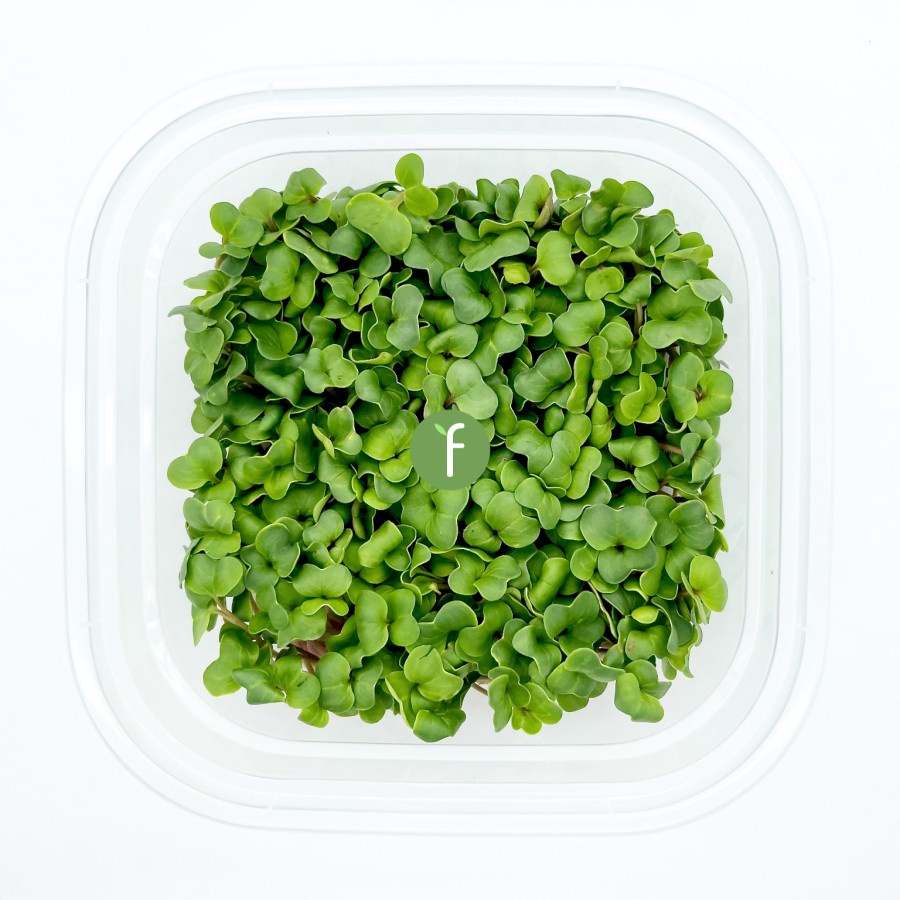 

Sayur Lobak Merah Mikro | Red Radish Fresh Microgreens