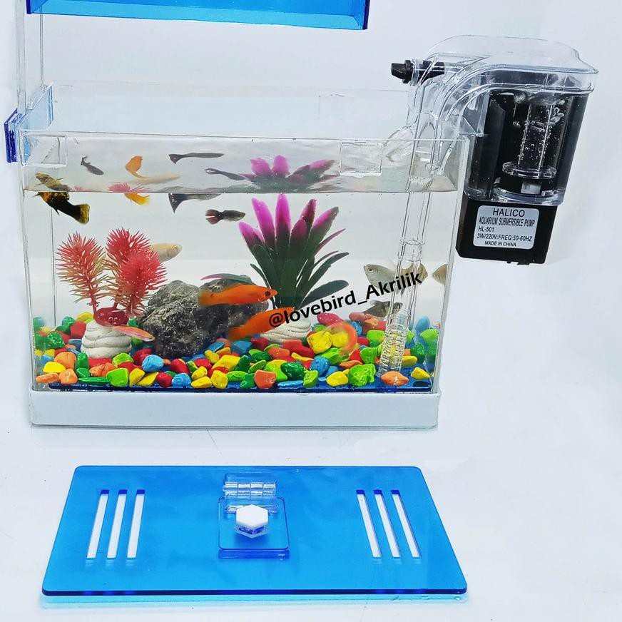 Bagus Aquarium Mini Aquarium Akrilik Aquarium Lengkap Aquarium Ikan Hias Mini Aquarium Aquarium Shopee Indonesia