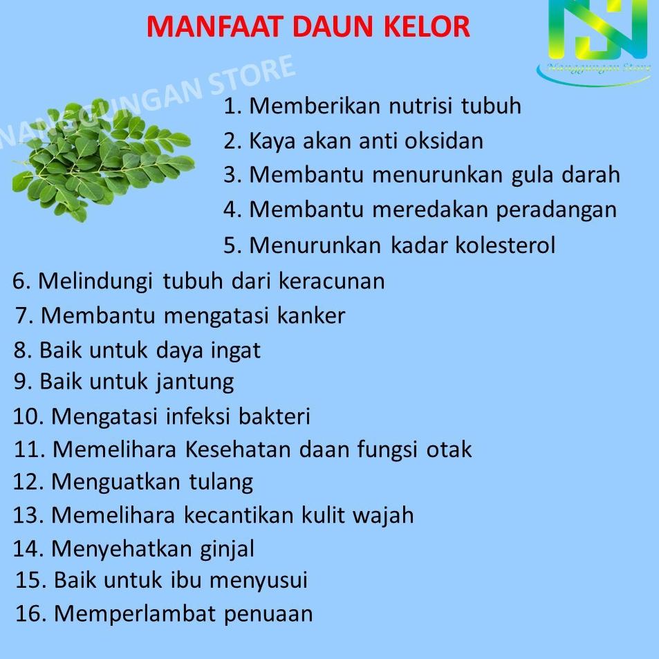 

Susu Tulang Dan Sendi Penggemuk Badan Dewasa Anak Orang Tua Lansia Bayi Patah Keropos Permanen BPOM CT7VC9157