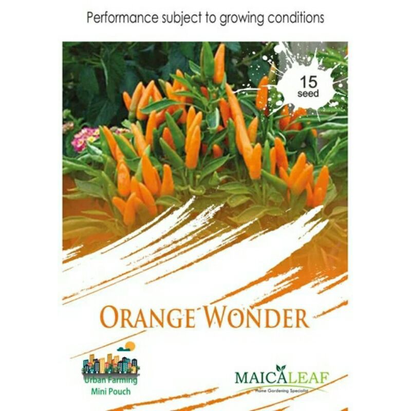 

ORANGE WONDER isi 15 biji