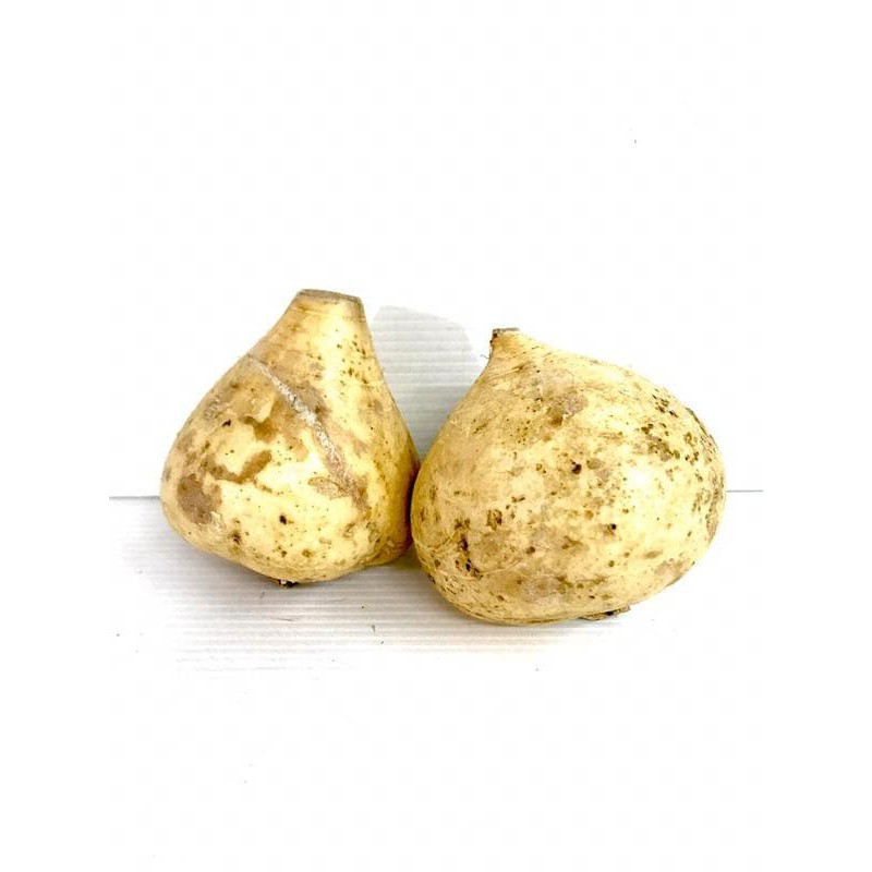 

Rezeki Fresh Market Bengkoang [2-3 Pcs /1 Kg]