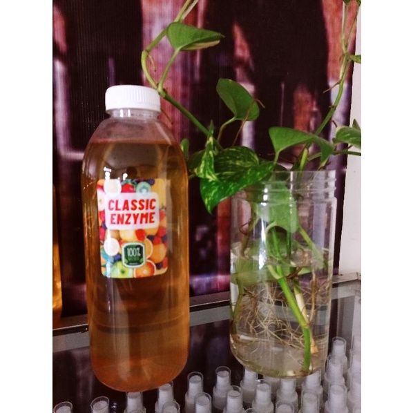 

Classic Enzyme 500ml