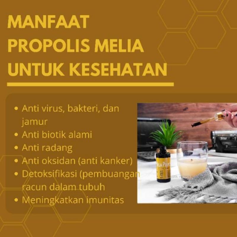 MELIA PROPOLIS 55ml ORIGINAL ASLI - PROPOLIS MELIA 55 ML ORI