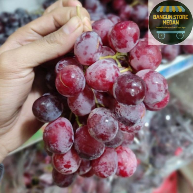 

BSM | TERMURAH Anggur Manis Segar / Grape 500gr - 1kg / Buah Anggur Segar | Sayur online