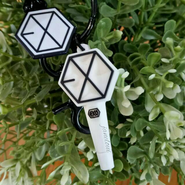 LS EXO Lightstick Keyring / Suho DO Baekhyun Kai Sehun Chen Lay Xiumin Chanyeol pc Album 2023 Photo 