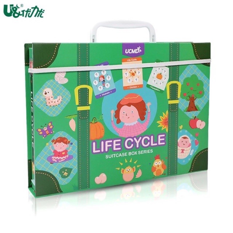 Ucmd Life cycle magnetic puzzle box - kado anak - hadiah anak - mainan edukasi anak