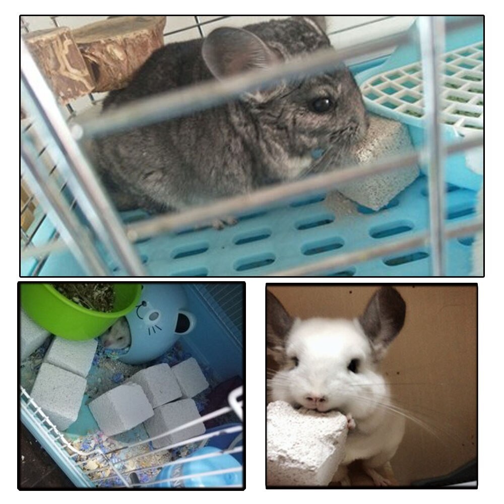 Gnawing Stone Hamster Batu Mineral Gigitan Hamster Sugar Glider Kelinci Chincila FEFARM