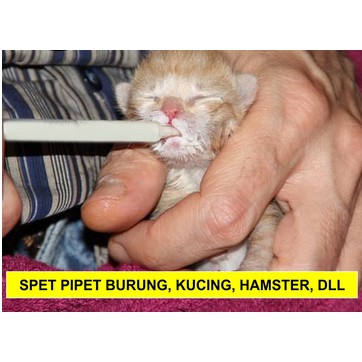 SEPETAN PIPPET PLASTIK 3ML susu kucing anjing kelinci