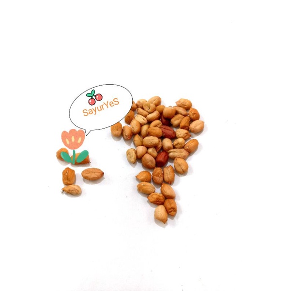 

KACANG TANAH SUPER 250GR - 500GR BANDUNG