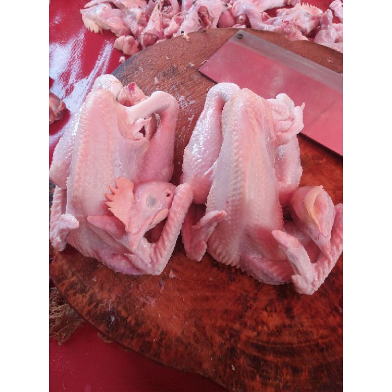 

Ayam Pejantan Kalasan Fresh 800 gram