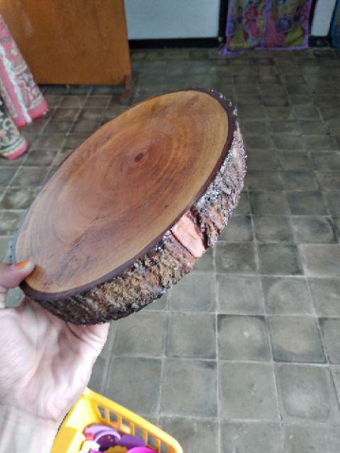 Satu Set Tempat Cincin Terrarium/ Tatakan Kayu / Ring Box Sangakar Burung