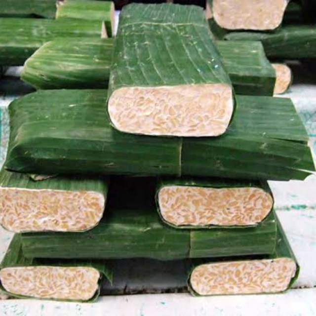 

Tempe daun besar bandung