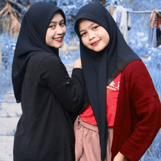ulshbin