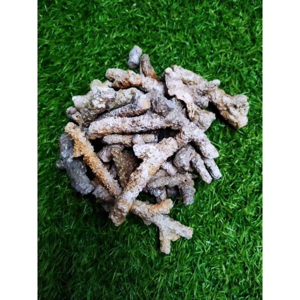 Karang Jahe / karang laut untuk Dekorasi / Media Filter Aquarium 500gr