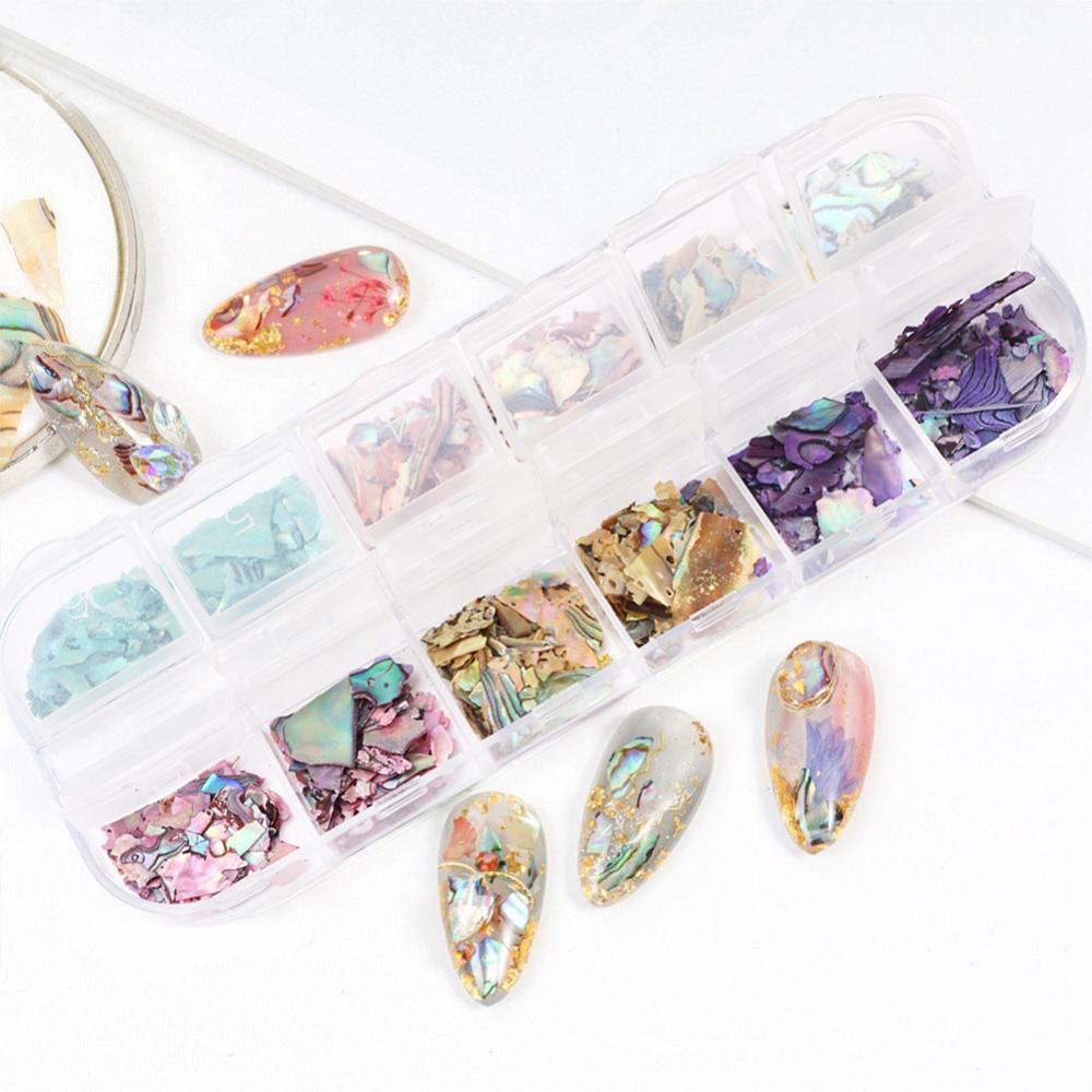 Timekey 12 Sekat / Set Kerang Abalone Alami 3D Untuk Dekorasi Nail Art A5K3