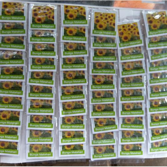 Termurah Benih Bunga Matahari / Benih Bunga Matahari Kecil