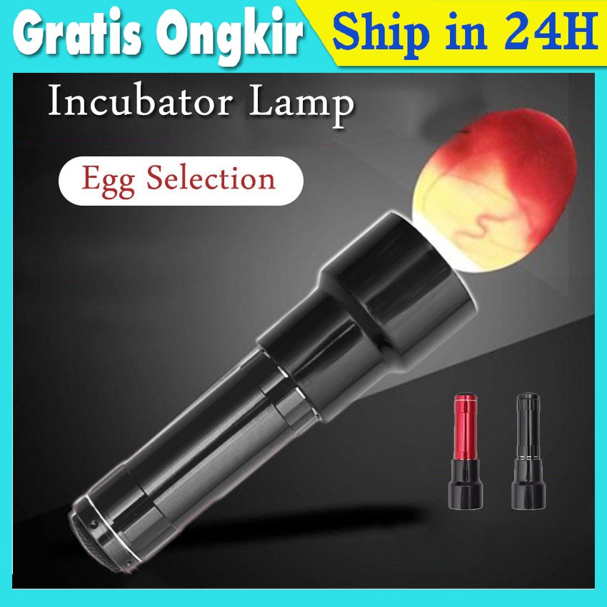 Inkubator Lamp LAMPU SENTER TEROPONG TELUR BURUNG MURAI KACER KENARI LOVEBIRD CUCAK DLL