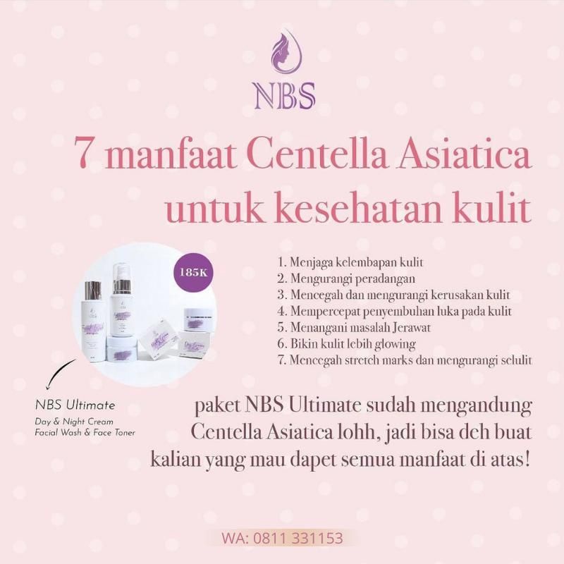 NBS DAY - NIGHT CREAM/ Cream siang - malam NBS Satuan Ecer