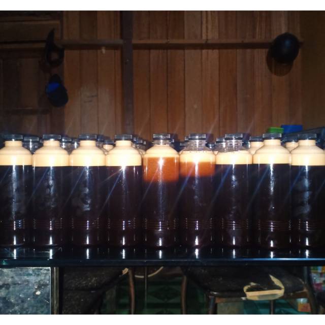 

Madu kalimantan utara