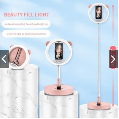 RW-G2 - Selfie Ring Fill Light LED with Foldable Stand / Ring Light G2 Lipat 10inch Selfie TIKTOK