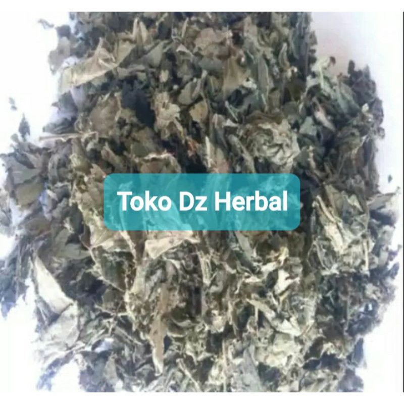 

Jual daun kersen kering asli paket 500 gram-az