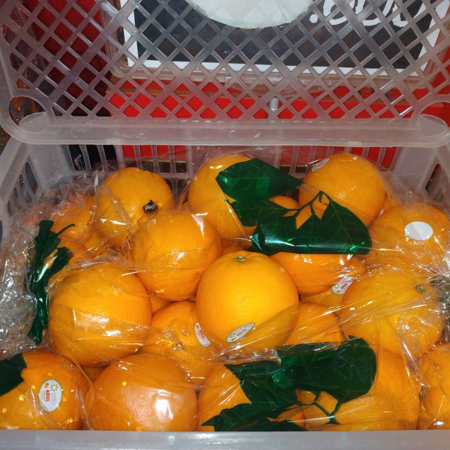 

Jeruk Navel RRC 1 kg
