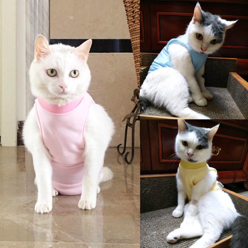 Pet Clothes Pasca Operasi Steril Untuk Kucing