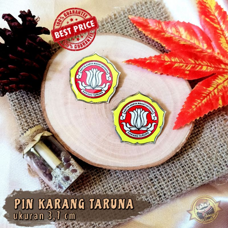 Pin karang taruna