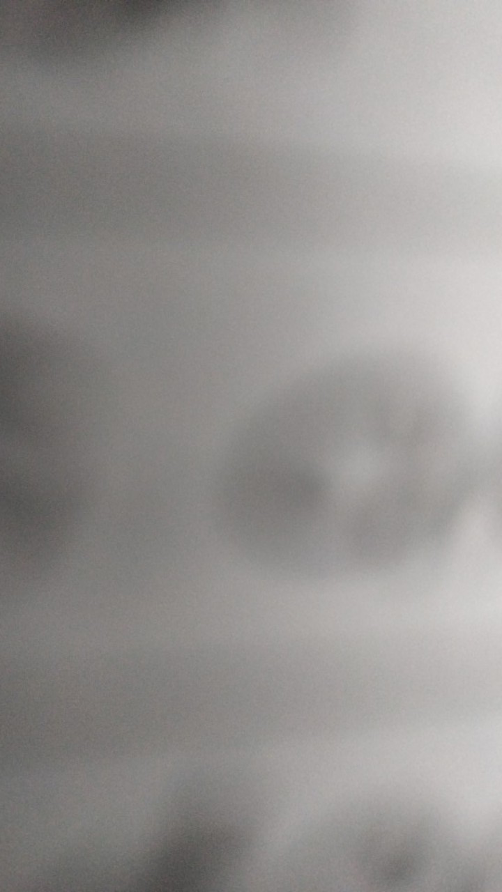 Daun Rambat Plastik Palsu Artificial Hiasan Dekorasi Dinding/daun Artificial