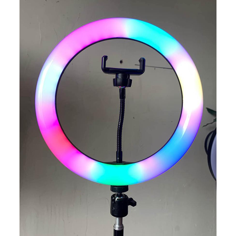 Lamou Ring Light LED Kamera 10 Inch with Smartphone Holder - RL-25 - White