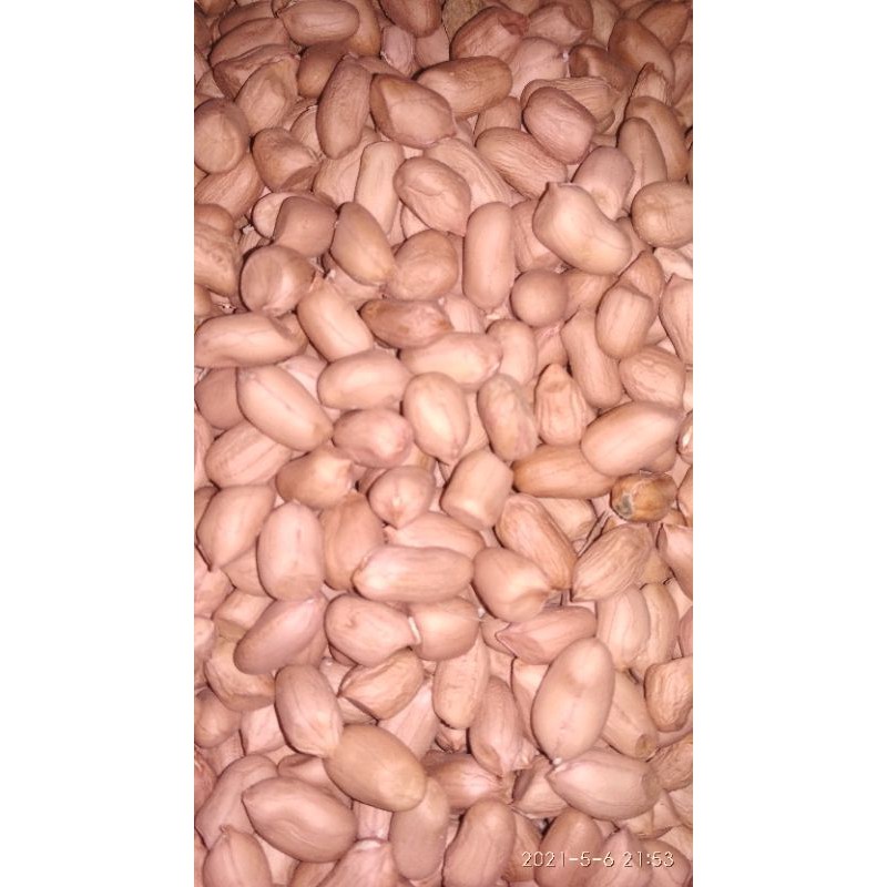 

KACANG TANAH KUPAS ORGANIK 1 KG DARI PETANI LOKAL WONOGIRI